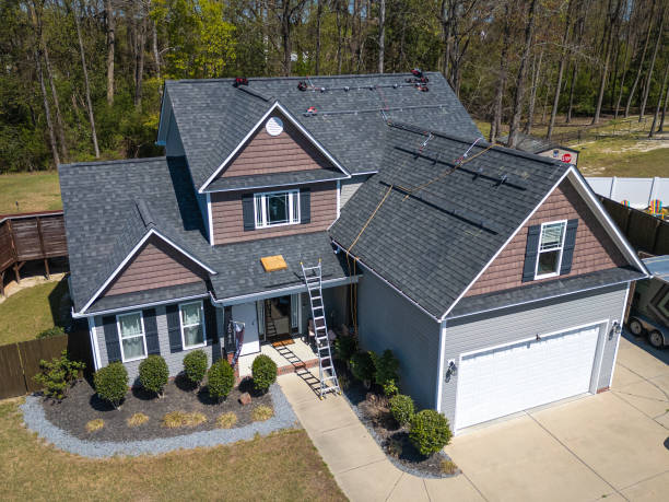 Best Roof Moss and Algae Removal  in New Beaver, PA